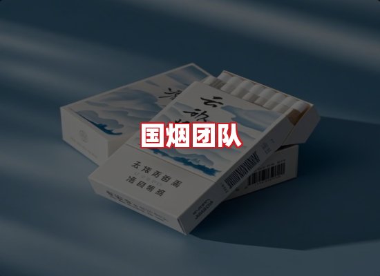 国烟团队